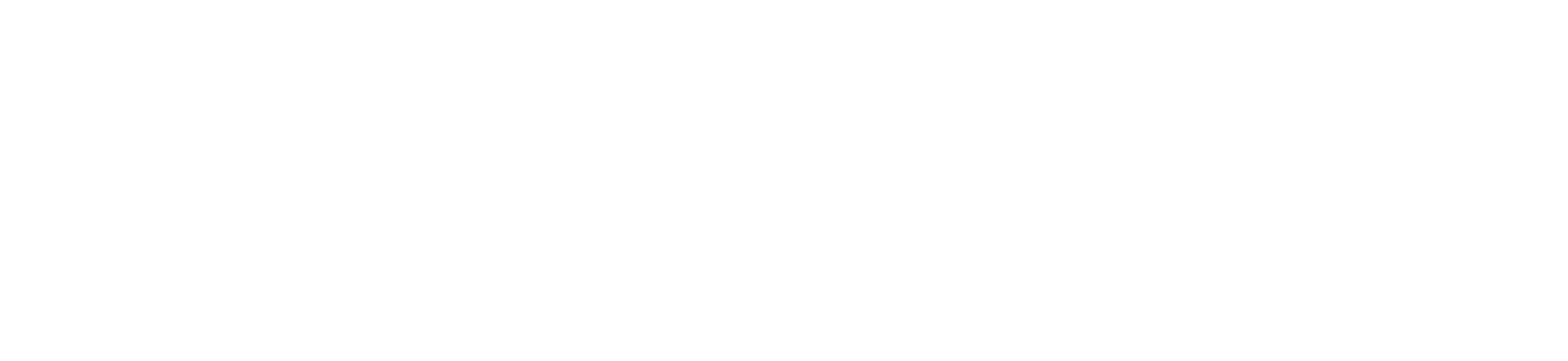 Logo blanc